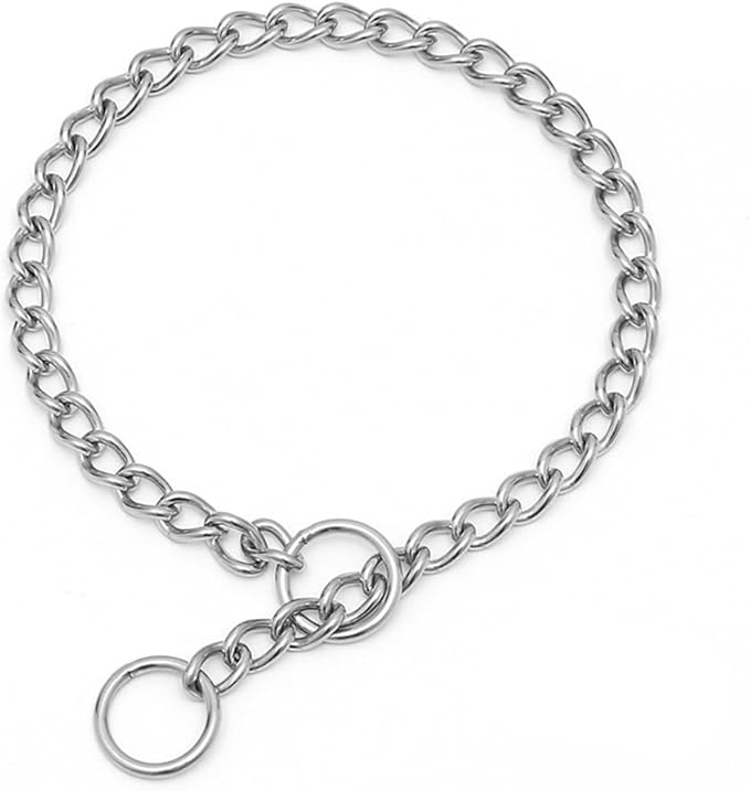 Stainless Steel Metal Slip Collar for Dogs Chain Link Training Collar Puppy Martingale Collars for Small Medium Large Big XL Breed Dogs Silver XL