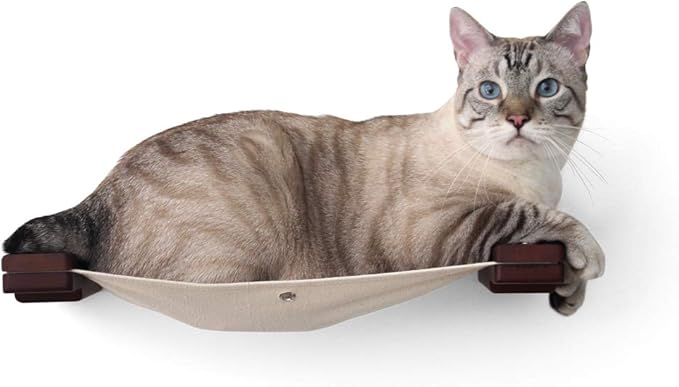 CatastrophiCreations Cat Lounge Hammock Wall Mounted Lounger for Climb and Play Furniture Cat Tree Shelves
