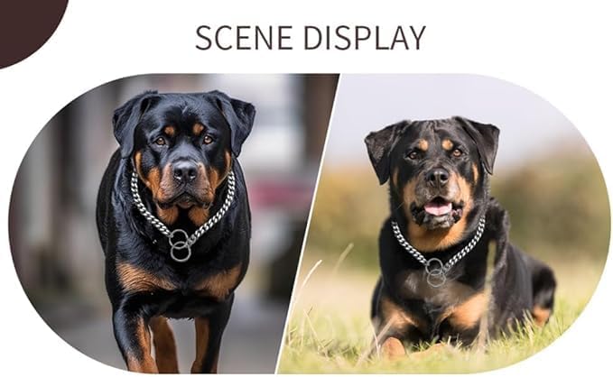 Silver Choke Collar for Large Dogs Metal Dog Chain Choker Collar Heavy Duty Training Slip P Chian Martingale Dog Collars for XXS XS Small Medium Large Breed Pets Boys Girls, L