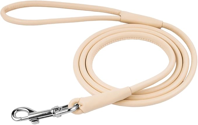 CollarDirect Rolled Leather Dog Leash 4ft, Soft Padded Training Leather Dog Lead 6ft, Puppy Leash Rolled Leather Small Medium Large Black Blue Red Orange Green Pink White (Orange, Size XL 6ft)