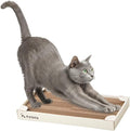 nyans Handcrafted Japanese Cardboard Cat Scratcher, Premium Low-Mess Corrugated Scratcher Box, Minimal Design for Indoor Cats, Helps Protect Furniture, 15.9 in (Box) (White)