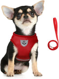 FEimaX Dog Harness and Leash Set for Walking, Soft Mesh Adjustable Easy Control Lightweight Cat Vest Harnesses with Reflective Strips, Escape Proof Small Dogs Cats Vests (Red, Medium)