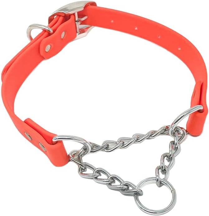 Regal Dog Products Martingale Collar for Dogs - Waterproof Biothane Collar for Small, Medium, Large Dogs - Limited Cinch Heavy Duty Chain for No Pull Dog Walking and Pet Training (Large, Orange)