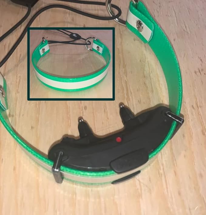 Sparky Pet Co - Surefit ECollar Replacement Strap - Bungee Dog Collar - Waterproof - Adjustable - Secure Nexus Wheel Lock - for Electronic Training & Invisible Fence Systems - 1" (Reflective Red)