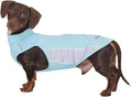 Dachshund Dog Cooling Vest, Breathable Summer Dog Cooling & Quick-Dry Shirt for Outdoor Activities,Mini Dachshund Lightweight Clothes, Vest Small Dogs (Blue, XL (22-27 lbs))