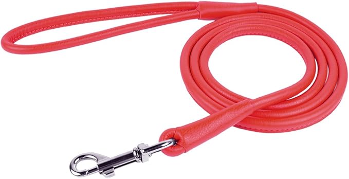 CollarDirect Rolled Leather Dog Leash, 4ft & 6ft, Soft Padded, Small, Medium, Beige