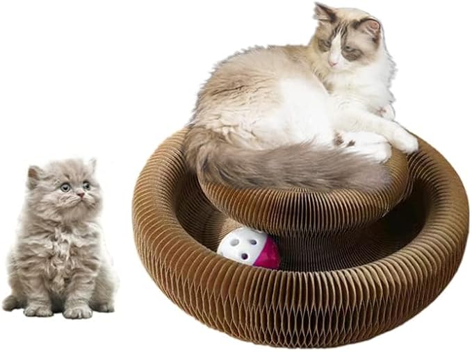 Kitty kurlz Magic Organ Cat Scratcher Board Cat Ball Adventure The Ultimate Interactive Mental Physical Exercise for Indoor Cats Toy