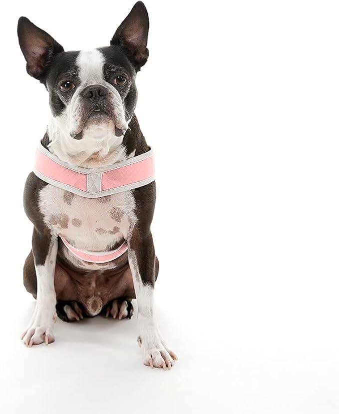 Gooby Simple Step in III Harness - Pink, Large - Small Dog Harness with Scratch Resistant Outer Vest - Soft Inner Mesh Harness for Small, Medium Dogs