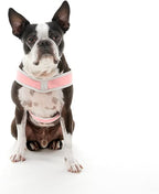 Gooby Simple Step in III Harness - Pink, Large - Small Dog Harness with Scratch Resistant Outer Vest - Soft Inner Mesh Harness for Small, Medium Dogs