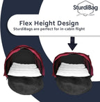 SturdiBag XL Pet Travel Carrier: Flexible Height for Cat and Dog Soft Sided with Safety Clips and Seatbelt Straps | Smoke, 20" x 16" x 12" (PN: SB3-PRO-SM)
