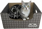 Extra Large Cat Cardboard Scratch with Box Bigger Space Double-Sided Scratching Refillable Pad Scratcher Board Window Handle Design Easy to Clean Scraps Scratched Bed for Indoor Cats (Grey)