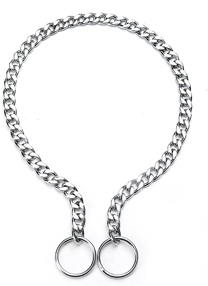 Slip P Puppy Chain Collars for Dogs, Silver XS Metal Training Martingale Collar for XXS Small Medium Large Dogs