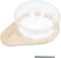Cat Tree Transparent Spaceship Hammock Accessory Free Standing Cat Stand Accessory Modern Activity Cat Stand Space Ship