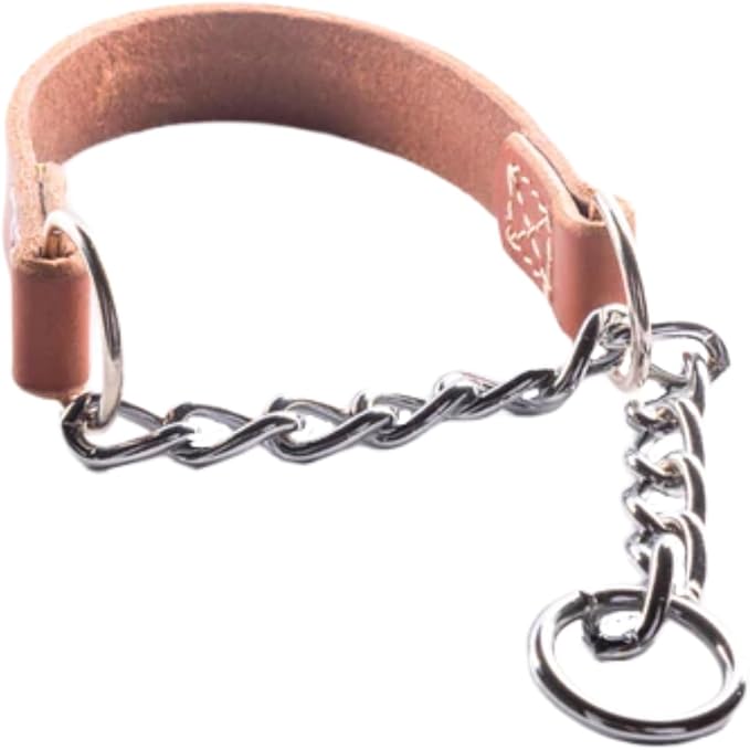 Joel Silverman - Alternative Training Collar - Gentle No-Pull Dog Collar - Leather & Chain Combo for Humane, Low-Neck Control - Trainer-Trusted Leather Dog Collar for All Breeds (Extra Extra Small)