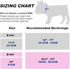 TSPRO Stainless Steel Heavy Duty Metal Dog Collar, Adjustable and Durable Pet Collar for Small Dogs, Ideal for Walking and Training (Rose Gold, 3MM*14-17 inches)