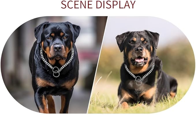 Dog Choke Collar Dogs Chain Choker Link Training Collar Pet Metal Slip Puppy Heavy Duty Martingale Collars for XS Small Medium Large Big XL Breed Dogs (Silver, L)