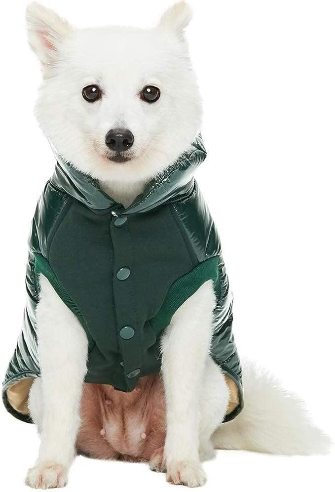 Blueberry Pet Cozy & Comfy Windproof Lightweight Quilted Fall Winter Glossy Dog Puffer Jacket in Hunter Green, Back Length 15.75", Size 14, Warm Coat for Medium Dogs
