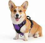 No Pull Dog Harness, Reflective Comfortable Vest Harness with Easy Control Handle Adjustable Soft Padded Pet Vest for Small to X-Large Dogs (Purple, Small (Approx Weight:8.81-16.53 LB))
