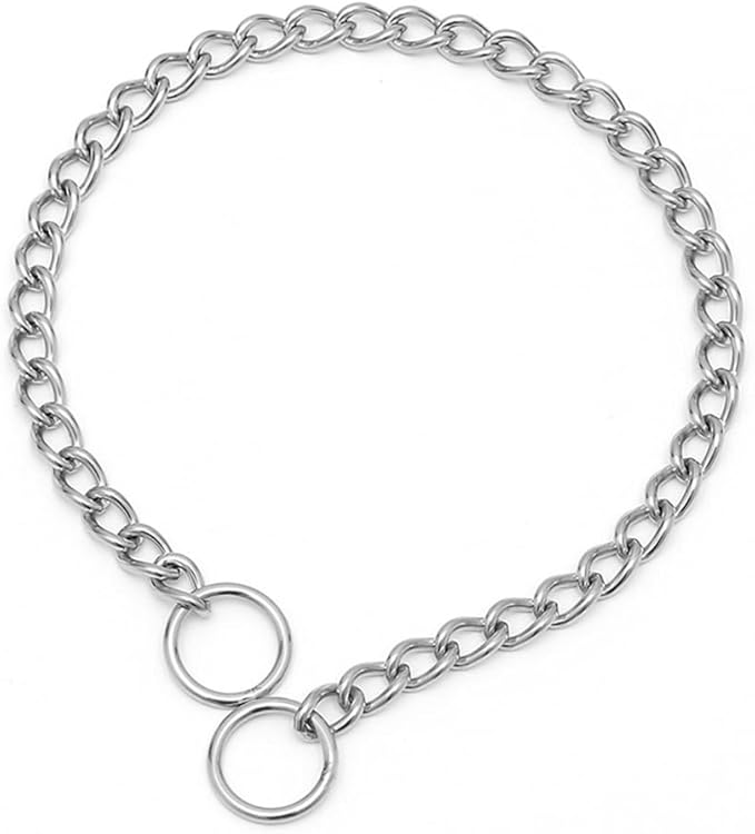Chain Collar for Dogs,Silver Stainless Steel Training Slip P Choke Puppy Chains Link Martingale Collars for XXS XS Small Medium Large Breed Dogs, L