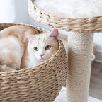 PetPals Group Cozy Eco-Friendly Handwoven Cat Tree with Sisal Scratching Post, 23" H