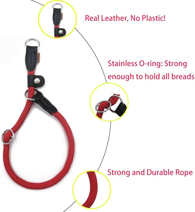 Braided Round Martingale Dog Collar, Training Collar with Slidable Stop Ring and Adjustable Stopper - Ideal for Small Dogs (S(1/4") - 14" Long, Red)