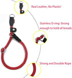 Braided Round Martingale Dog Collar, Training Collar with Slidable Stop Ring and Adjustable Stopper - Ideal for Medium Dogs (M(1/3") - 18" Long, Red)