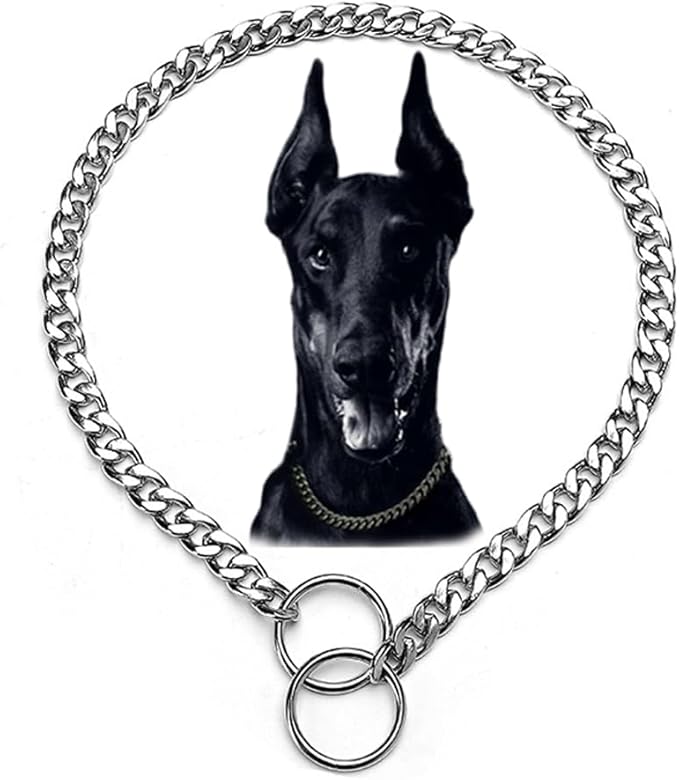 Silver Flat Dog Chain Collars,Slip P Link Metal Dog Collar,Adjustable Training Heavy Duty Martingal Collar for Dogs for Small Medium Large Dog Xs