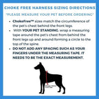 Velpro Mesh Pet Shoulder Harness Collar (Mint, 14")