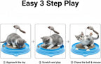 AUOON Cat Scratcher Toy with Ball Track - 3 in 1 Interactive Cat Toy, Cat Scratch Pad with Cat Ball Toy and Plush Cat Mouse Toy for Indoor Cats and Kittens (Gray)
