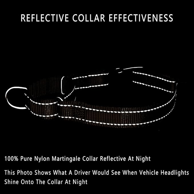 PLUTUS PET Reflective Martingale Collar with Quick Snap Buckle,No Pull Dog Choker Collar for Small Medium Large Dogs, L, Chocolate