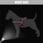 Didog Soft Flannel Padded Dog Vest Harness, No Pull/Quick Fit Reflective Dog Strap Harness, Easy for Training Walking (M:Chest 22-26", Pink)