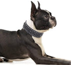 Premium Faux Leather Spiked Dog Collar with Square Studs: Stylish and Durable Design, Comfortable Fit for Small, Medium, & Large Dogs - Ideal for Everyday Walks, Training Black L