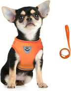 FEimaX Dog Harness and Leash Set for Walking, Soft Mesh Adjustable Easy Control Lightweight Cat Vest Harnesses with Reflective Strips, Escape Proof Small Dogs Cats Vests (Orange, Large)