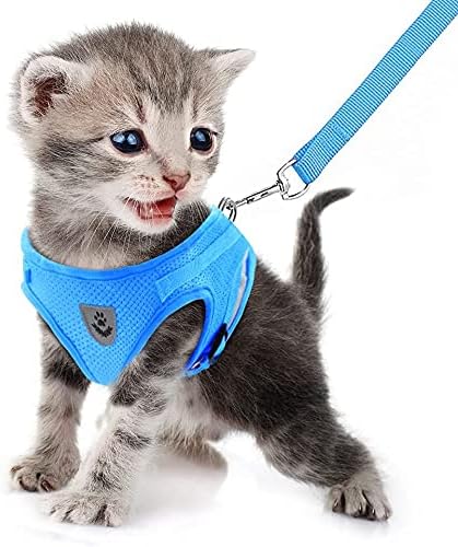 FEimaX Dog Harness and Leash Set for Walking, Soft Mesh Adjustable Easy Control Lightweight Cat Vest Harnesses with Reflective Strips, Escape Proof Small Dogs Cats Vests (Azure, Large)