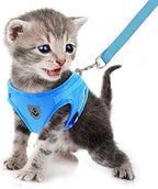 FEimaX Dog Harness and Leash Set for Walking, Soft Mesh Adjustable Easy Control Lightweight Cat Vest Harnesses with Reflective Strips, Escape Proof Small Dogs Cats Vests (Azure, Large)