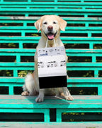 Mutt Mitt® 100 White & Black 2-Ply Dog Waste Bags on 1 Dog Waste Bag Station Header - 300% Thicker than mini roll dog waste bags - no more warm & yuck feeling