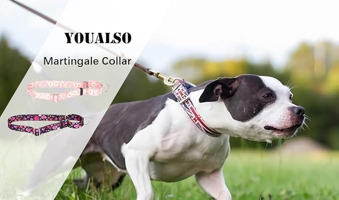 Slip Collar for Dogs, No-Slip Escape Proof Choke No Pull Cinch Soft Nylon Dog Training Martingale Collars Adjustable for Small Medium Large Breed Pet Dogs, Boho S