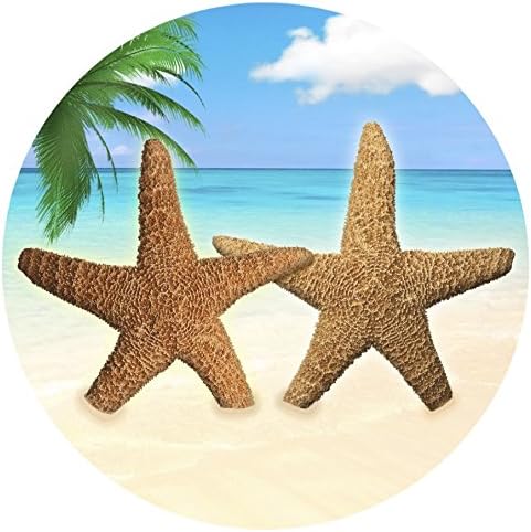 Screen Door Magnets Double Sided – Keep People, Kids, and Dogs from Running into The Screen Door - Robbins Aria Star Fish