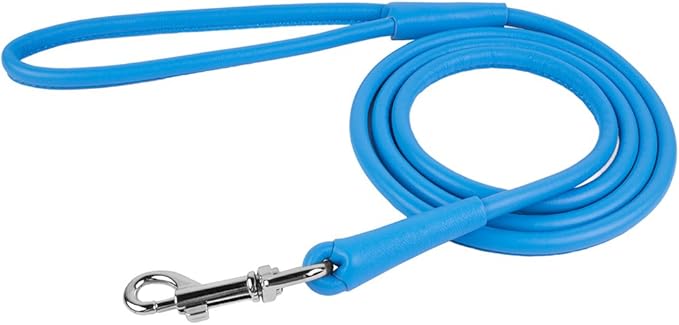 CollarDirect Rolled Leather Dog Leash 4ft, Soft Padded Training Leather Dog Lead 6ft, Puppy Leash Rolled Leather Small Medium Large Black Blue Red Orange Green Pink White (Pink, Size S 6ft)
