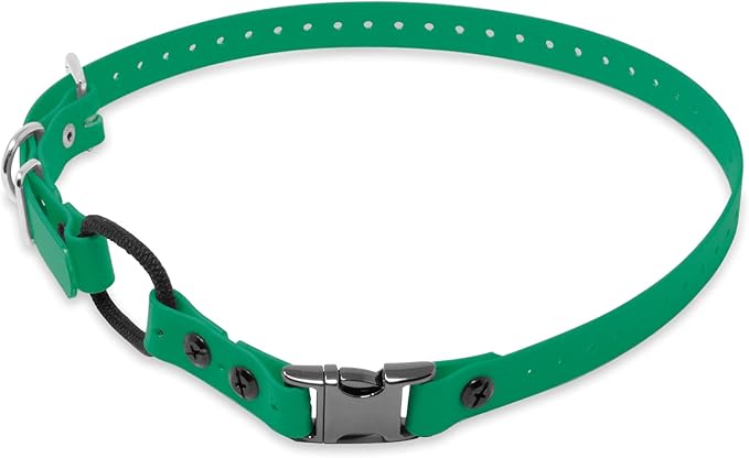 Educator 3/4-Inch Dog Training Collar Strap–ONLY Fits ME-300, ET-300/400, EZ-900, PE-900 & PG-300 Receivers – NOT Compatible with FE-580, ET-800 or UL-1200–Quick Snap Biothane Bungee Collar, Green