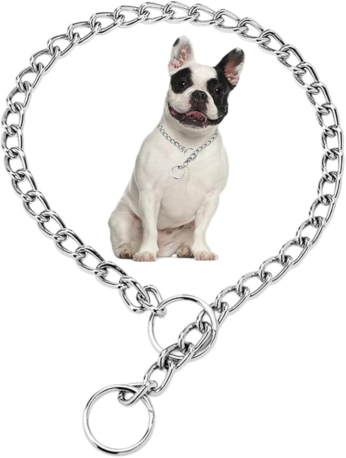 Silver Dog Chain Collars,Metal Slip Link P Chain Training Heavy Duty Male Boys Martingale Collar Female Girls Puppy Collars for XXS XS Small Medium Large Big Breed,M