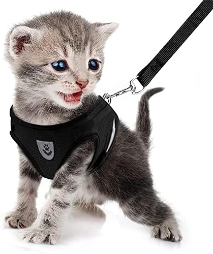 FEimaX Dog Harness and Leash Set for Walking, Soft Mesh Adjustable Easy Control Lightweight Cat Vest Harnesses with Reflective Strips, Escape Proof Small Dogs Cats Vests (Black, X-Large)