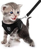 FEimaX Dog Harness and Leash Set for Walking, Soft Mesh Adjustable Easy Control Lightweight Cat Vest Harnesses with Reflective Strips, Escape Proof Small Dogs Cats Vests (Black, Medium)