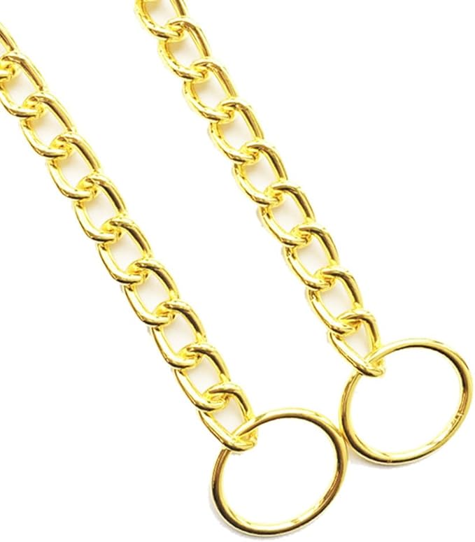 Gold Choke Chain for Dogs,Heavy Duty Training Choker Collar for Dogs Metal Slip P Link Martingale Collars Puppy Chain for XXS XS Small Medium Large Dog, XL
