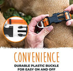 Mighty Paw Martingale Dog Collar 2.0 | Trainer Approved Limited Slip Collar with Stainless Steel Chain & Heavy Duty Buckle - Modified Cinch for Gentle & Effective Pet Training - Large, Orange