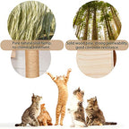 9pcs Wall Wood Climber Set - 2 Cat Condos Houses & 4 Shelves & 2 Ladders & 1 Sisal Cat Scratching Post Cat Steps, Perch & Bed