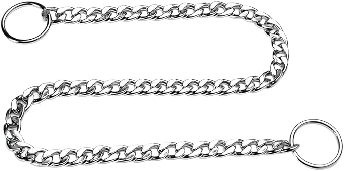 Silver Dog Chain Collars for Small Dogs,Metal Slip Link Collar for Dogs Heavy Duty Training Martingale Dog Collars for XXS XS Small Medium Large Breed Pets Boys Girls, XSmall