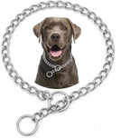 Chain Dog Choker Collar for Large Dogs,Stainless steels Slip Link Training Heavy Duty Dog Choke Collar Martingale Puppy Collars for Small Medium Large Big XL Breed Dogs Silver L