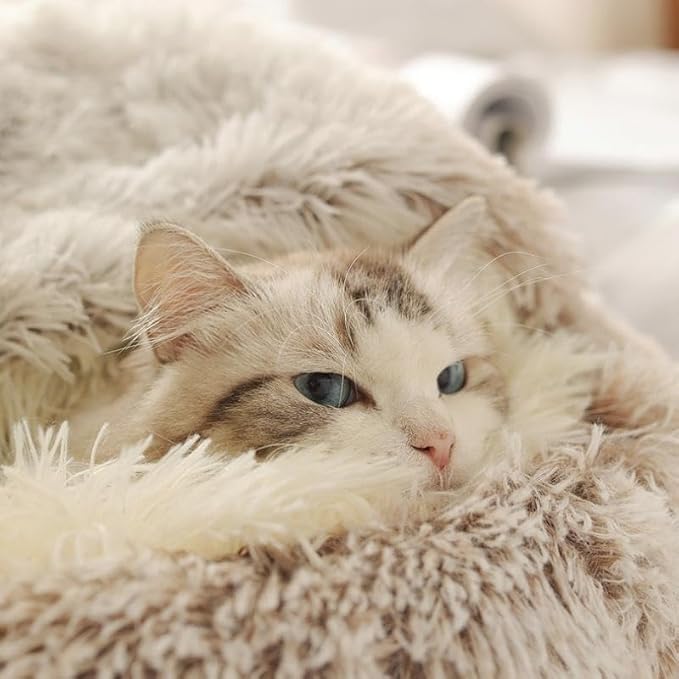Cat Bed Round Fluffy Hooded Cat Bed Cave, Anti-Anxiety Cave Bed with Hooded Blanket, Cozy Cuddler Luxury Puppy Pet Bed, Anti-Slip Bottom and Machine Washable (Coffee, Large)