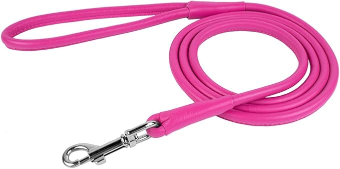 CollarDirect Rolled Leather Dog Leash, 4ft & 6ft, Soft Padded, Small to Large Dogs, Black, Blue, Red, Orange, Green, Brown, Pink, Yellow, Purple, White, Beige